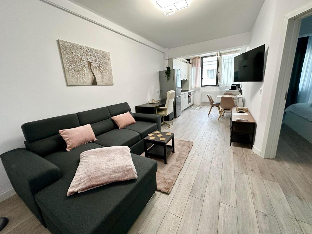 Angela Nordic Apartment. Suceava Exterior photo