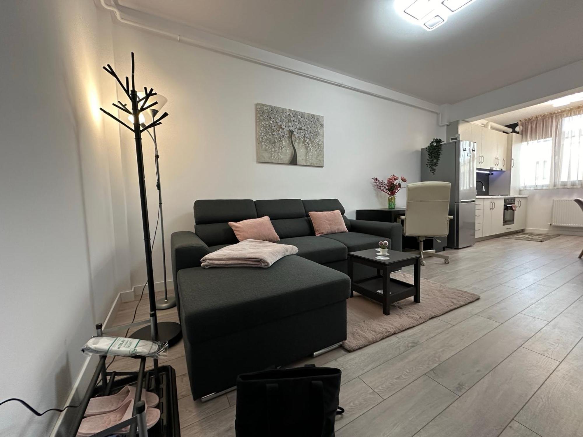 Angela Nordic Apartment. Suceava Exterior photo